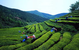 從北京出發，探索世界 一份出境旅行指南